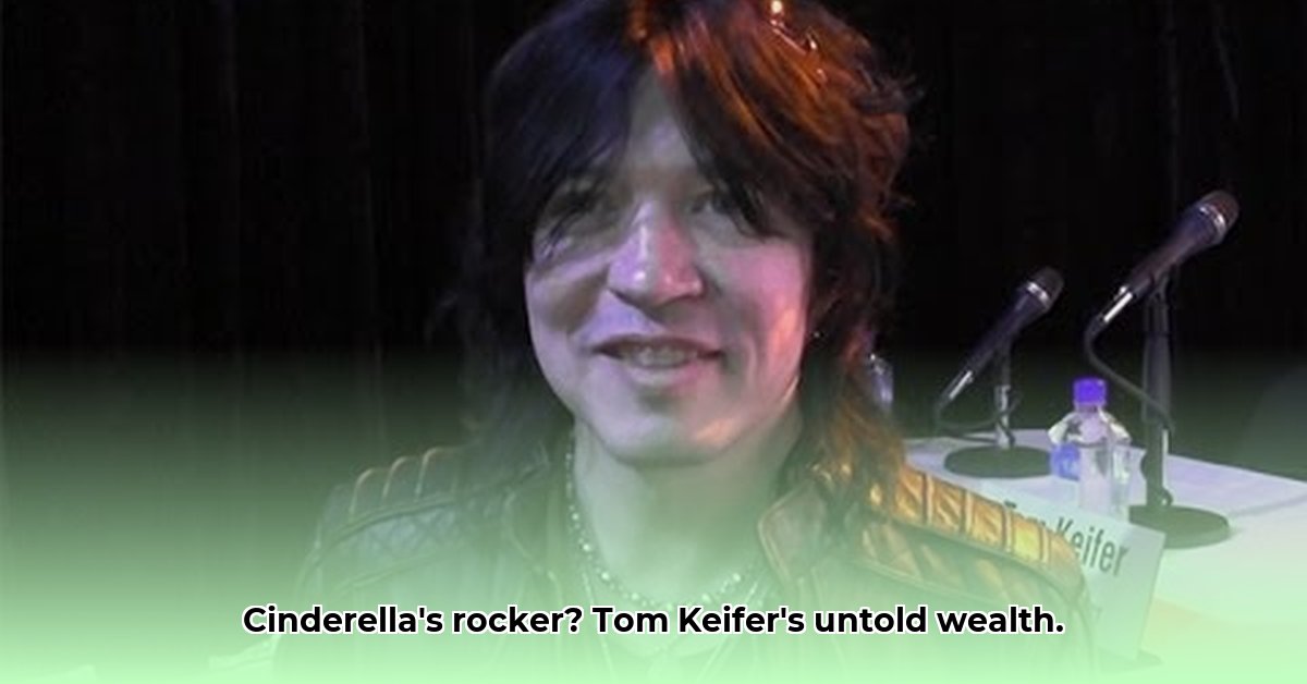 tom-keifer-net-worth